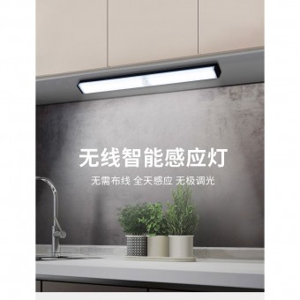 Motion Sensor LED Light -White Light (Long) 1213