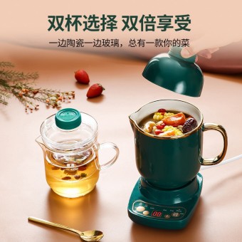 养生杯 Multifunction Double Health Cup Mug Cooker Boiler Valentine Mother Day Tea 0237